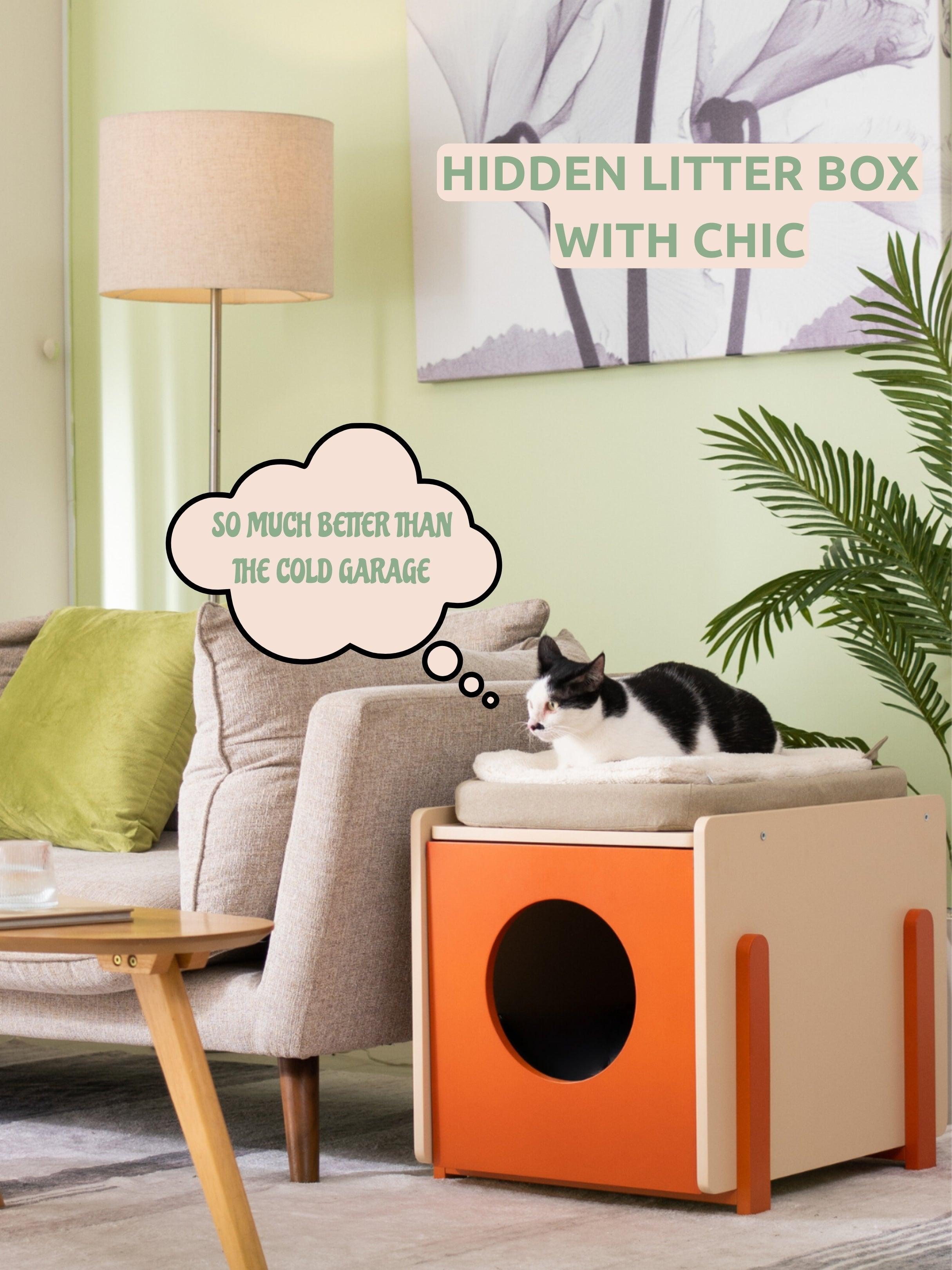 Chic litter shop box