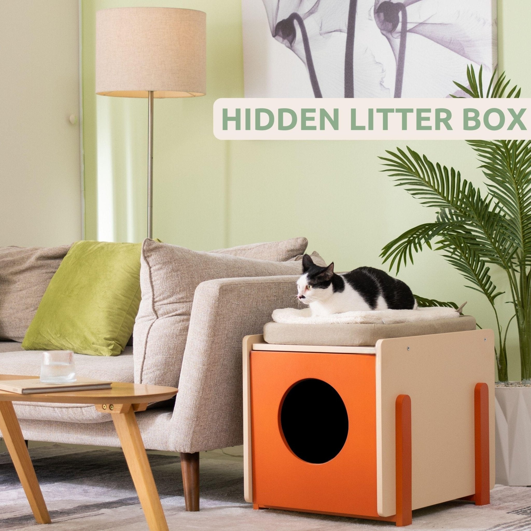 Amazon Cute Aesthetic Litter Box Extra Large Stainless Steel Cat Litter Box Large Kitty Litter Box with Bamboo Shell Non Sticky