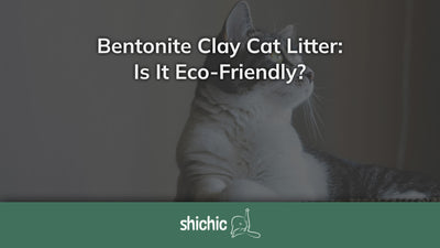 Bentonite Clay Cat Litter