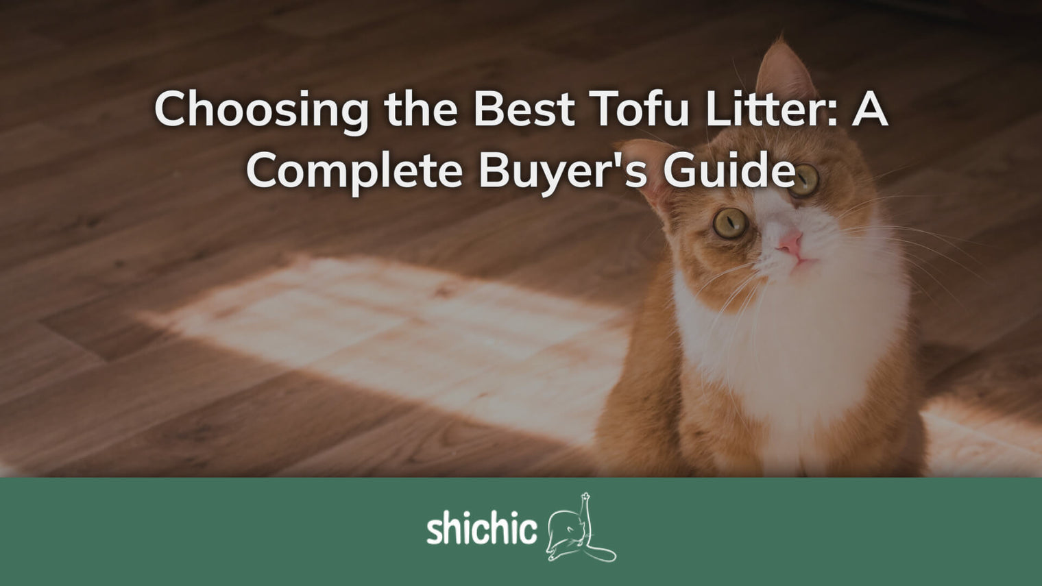 Choosing the Best Tofu Litter: A Complete Buyer's Guide - Shichic