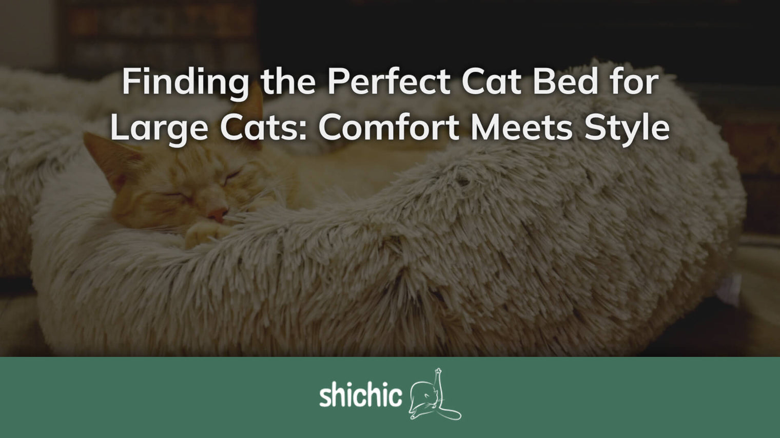Finding the Perfect Cat Bed for Large Cats: Comfort Meets Style - Shichic