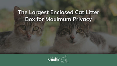 Fortress of Solitude: The Largest Enclosed Cat Litter Box for Maximum Privacy - Shichic