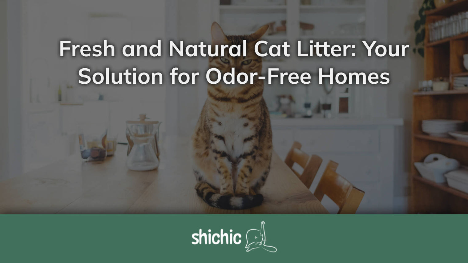 Fresh and Natural Cat Litter