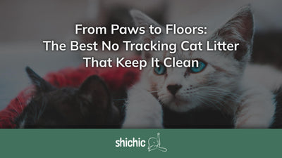 best cat litter no tracking