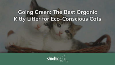 Going Green: The Best Organic Kitty Litter for Eco-Conscious Cats - Shichic