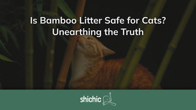 Is Bamboo Litter Safe for Cats