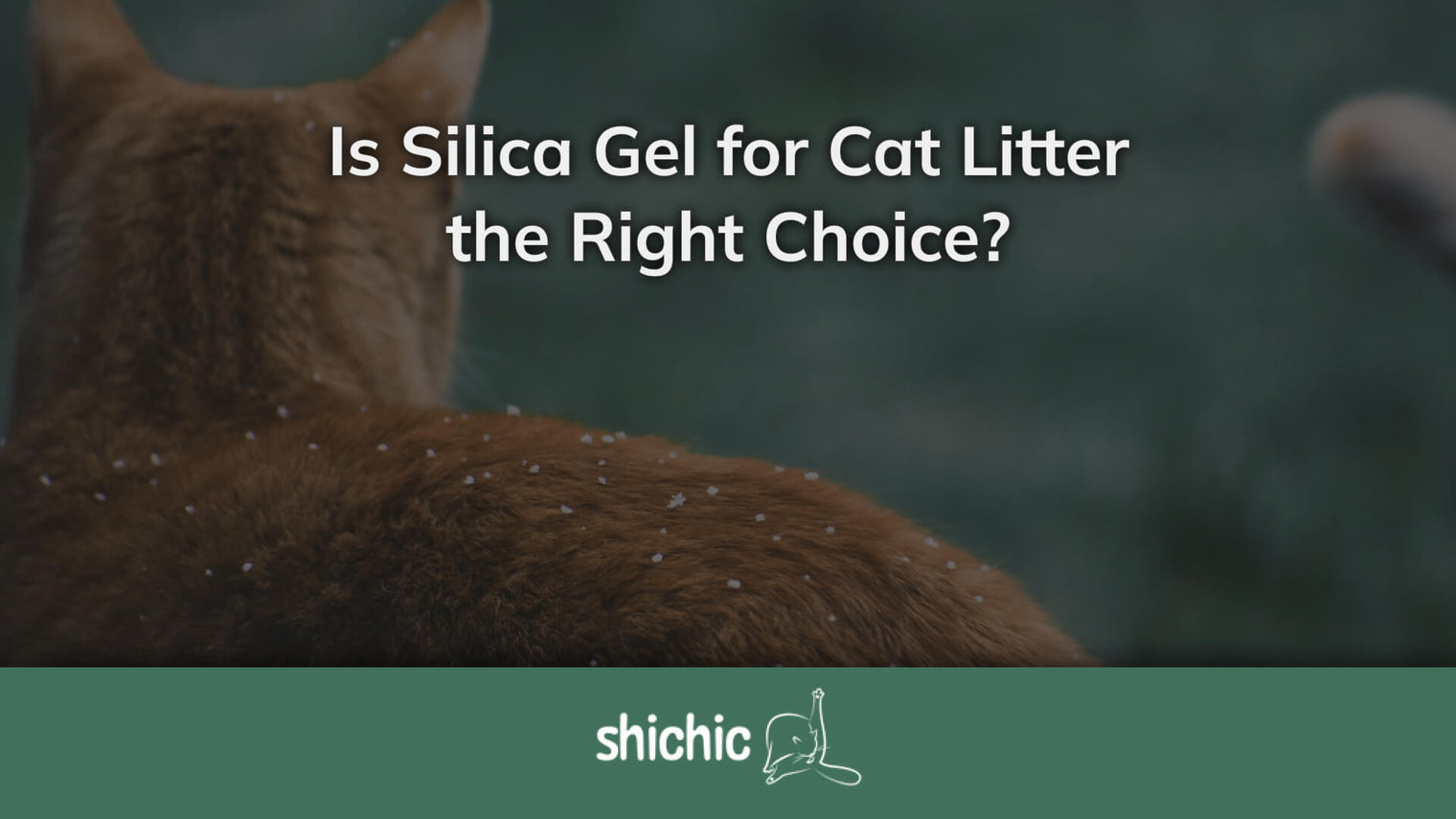 silica gel for cat litter
