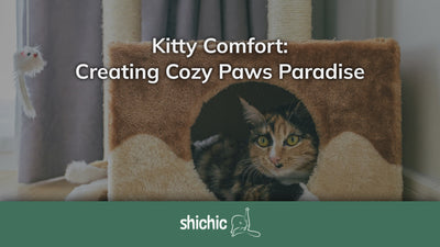 Kitty Comfort: Creating Cozy Paws Paradise - Shichic