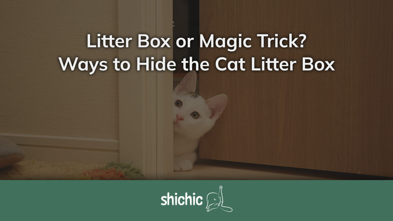 hide the cat litter box