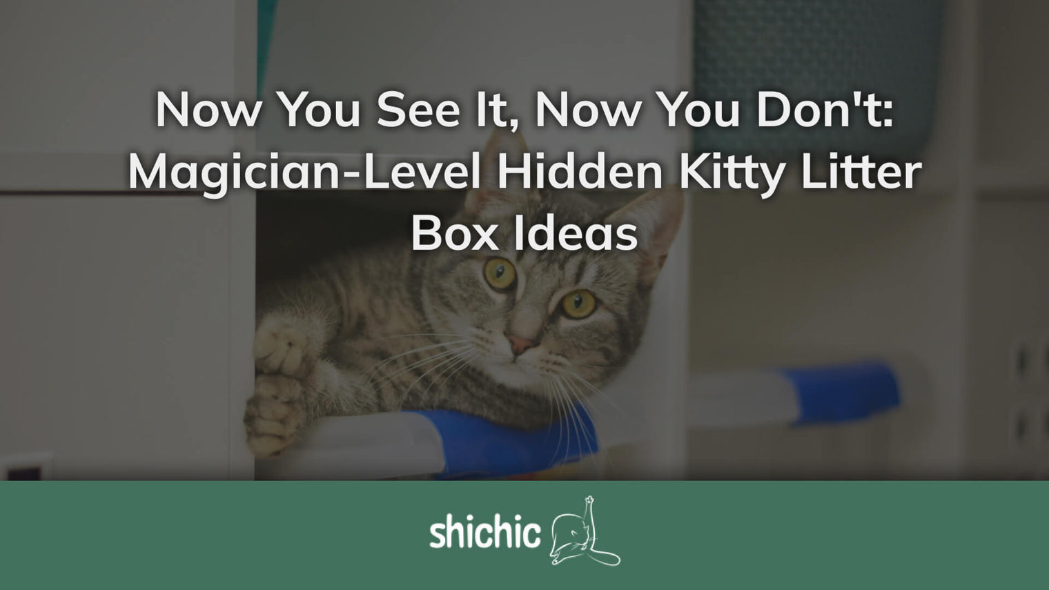 hidden kitty litter box ideas