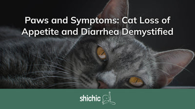 Paws and Symptoms: Cat Loss of Appetite and Diarrhea Demystified - Shichic