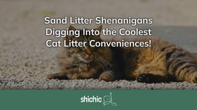 Sand Litter Shenanigans: Digging Into the Coolest Cat Litter Conveniences! - Shichic
