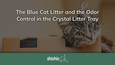 blue cat litter