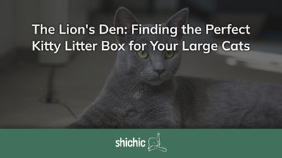The Lion's Den: Finding the Perfect Kitty Litter Box for Your Large Cats - Shichic