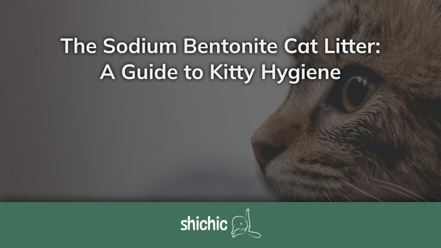 sodium bentonite cat litter