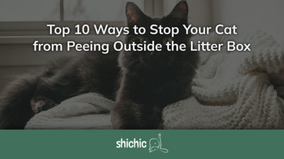 how to stop cat from peeing outside litter box
