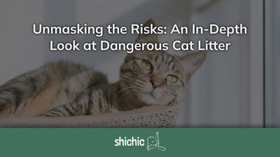 Dangerous Cat Litter