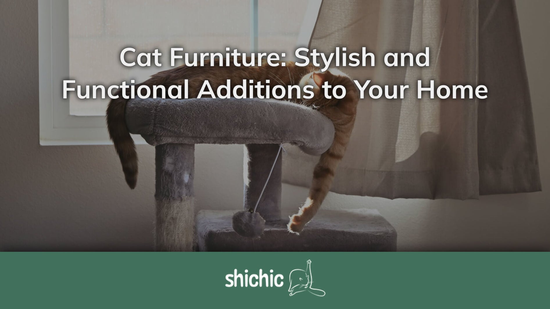 cat furniture