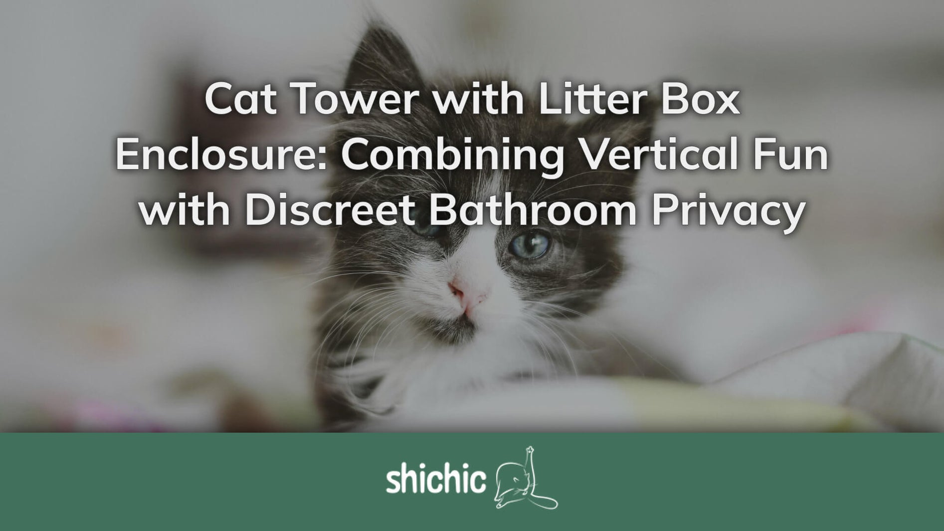 Cat Tower with Litter Box Enclosure fun