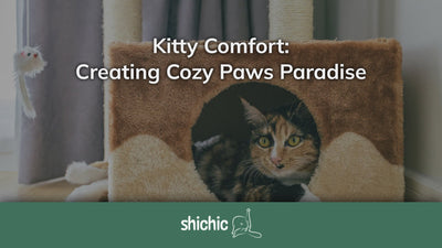 Kitty Comfort: Creating Cozy Paws Paradise - Shichic