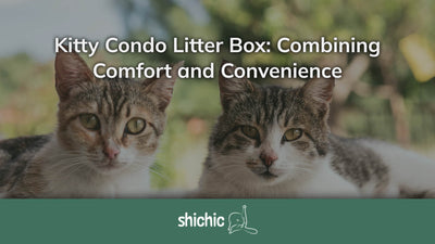 Kitty Condo Litter Box: Combining Comfort and Convenience for Your Feline Condo-dweller - Shichic