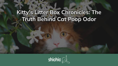 cat poop odor