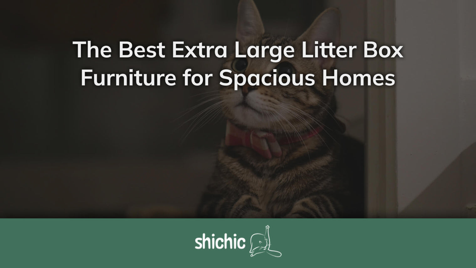 litter box furniture extra large