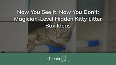 hidden kitty litter box ideas