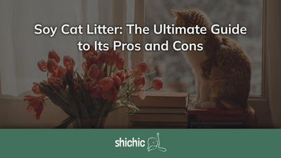 soy cat litter