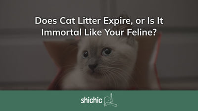 does cat litter expire