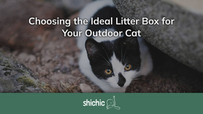 The Great Outdoors: Picking the Perfect Litter Box for Your Outdoor Cat - Shichic