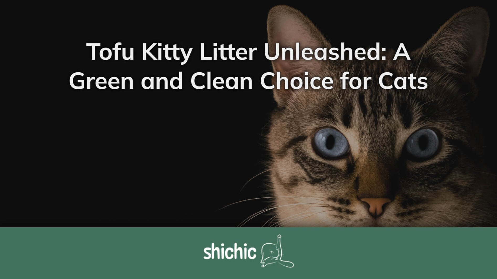 Tofu Kitty Litter