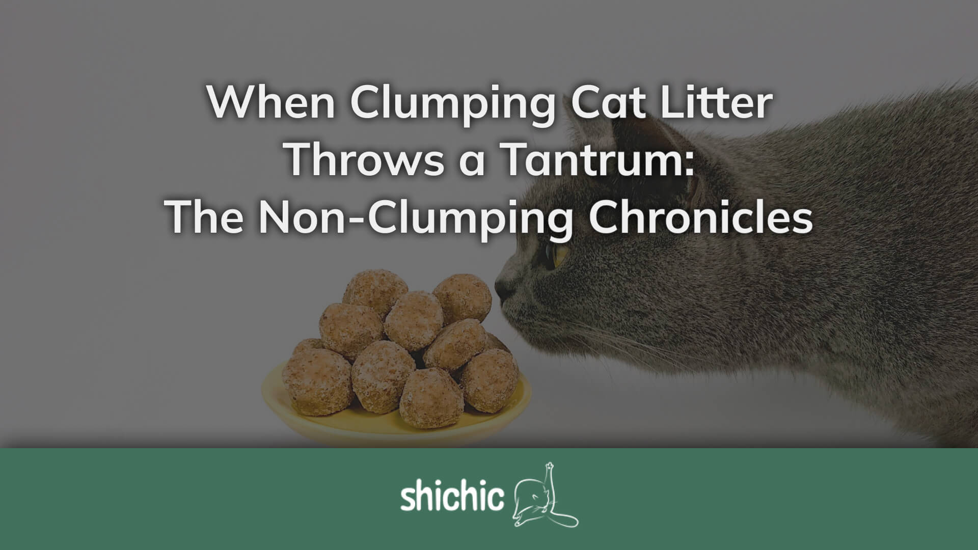 Litter not clumping best sale