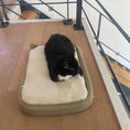 Cargar la imagen en la vista de la galería, Shichic's designer cat cushion in elegant teal, ideal for adding a touch of luxury to any pet-friendly home
