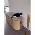 Load image into Gallery viewer, Cat lying on a litter box enclosure with a cushion on top
