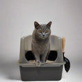 Load image into Gallery viewer, Jumbo MarbleLoo - Large Stainless Steel Cat Litter Box
