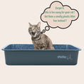 Load image into Gallery viewer, MarbleLoo - Cat Litter Box & free Pooper Scooper
