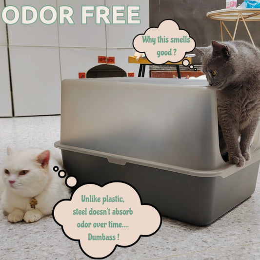 MarbleLoo - Caja de arena para gatos y recogedor de excrementos gratis