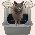 Load image into Gallery viewer, MarbleLoo - Cat Litter Box & free Pooper Scooper
