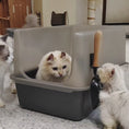 Load and play video in Gallery viewer, Jumbo MarbleLoo - Large Stainless Steel Cat Litter Box
